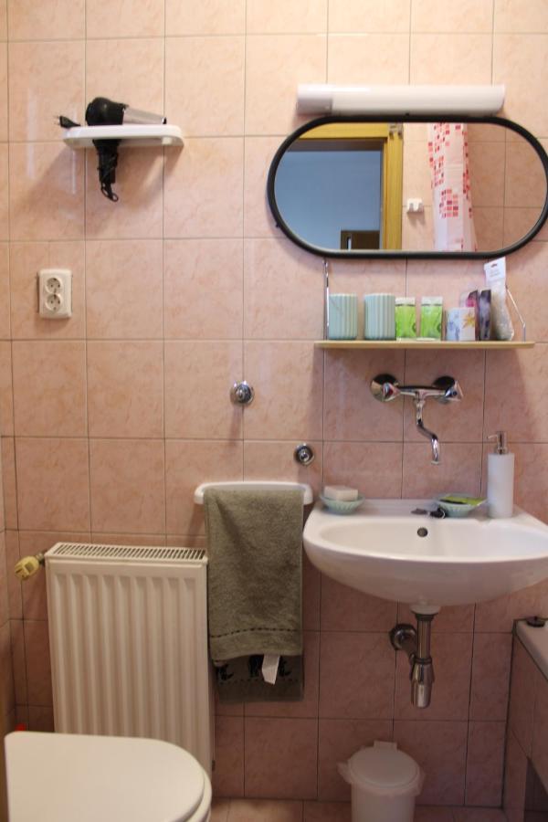 Studio Apartman Hinko Ðakovo エクステリア 写真