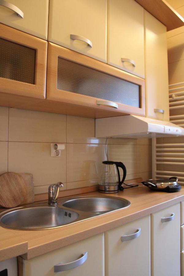 Studio Apartman Hinko Ðakovo エクステリア 写真
