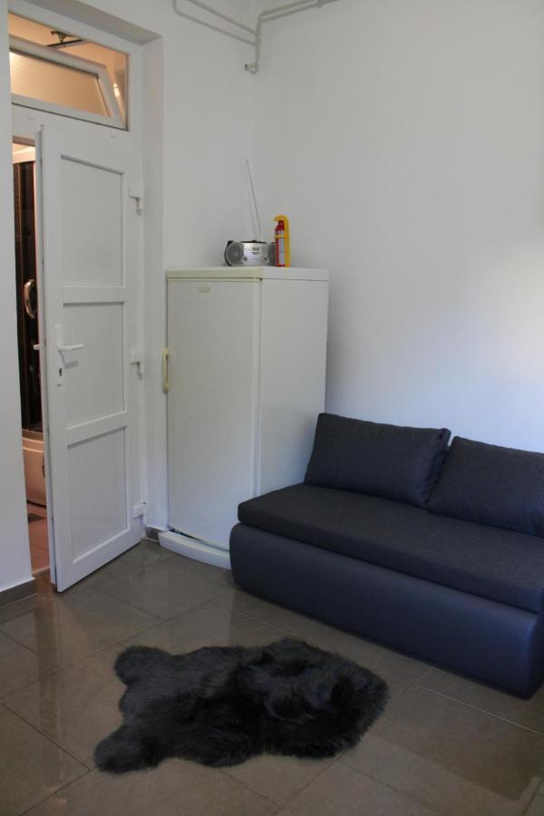 Studio Apartman Hinko Ðakovo エクステリア 写真