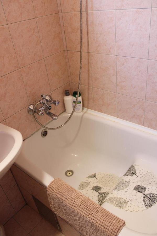 Studio Apartman Hinko Ðakovo エクステリア 写真
